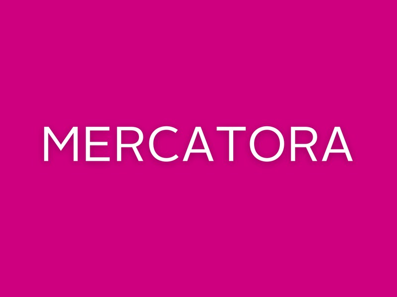 MERCATORA: Gender Competency, Unconscious Bias and Leadership Skills  (Module 2)
